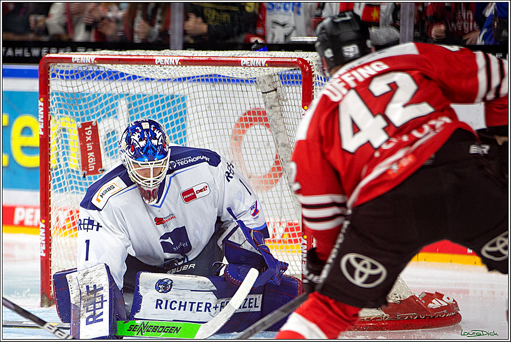 PENNY DEL; Koelner Haie- Straubing Tigers; Koeln, 28.12.2022